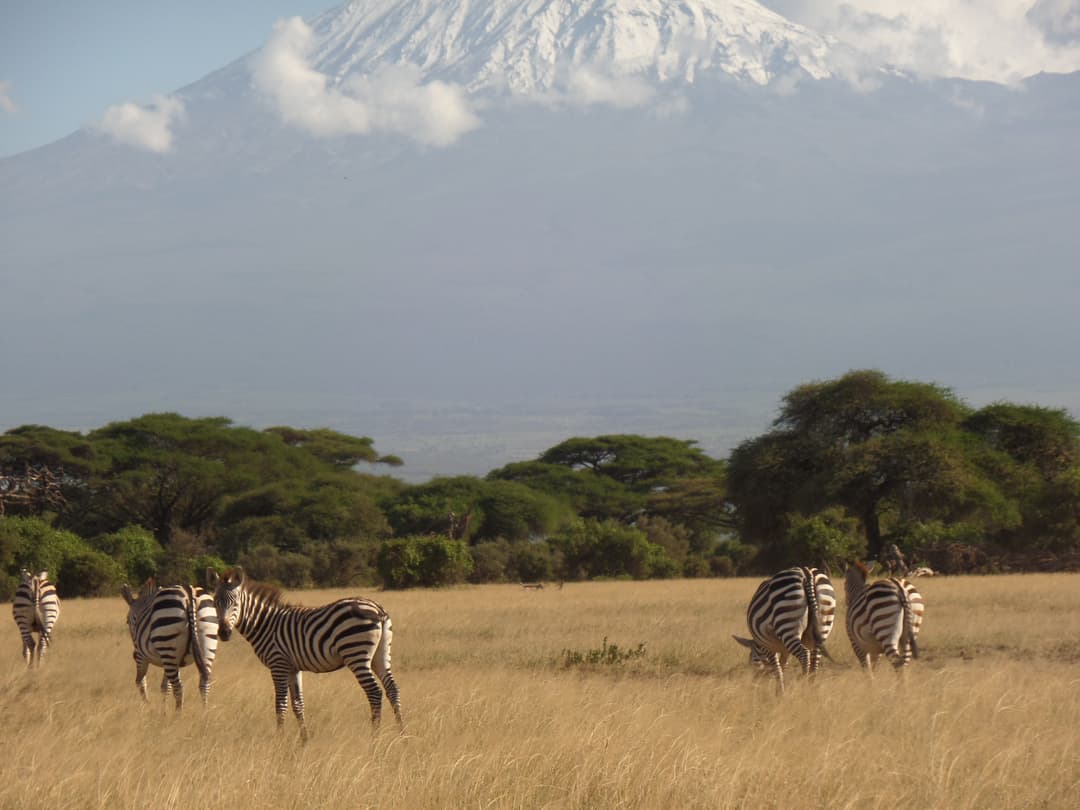 5 Days Amboseli and Tsavo East Safari