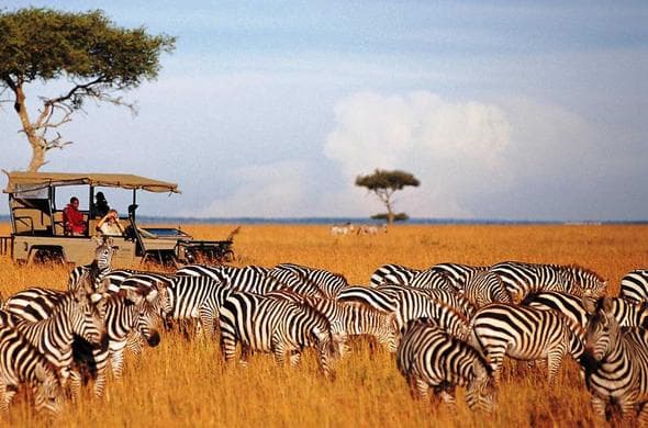 4 Days Masai Mara and Cultural Tour
