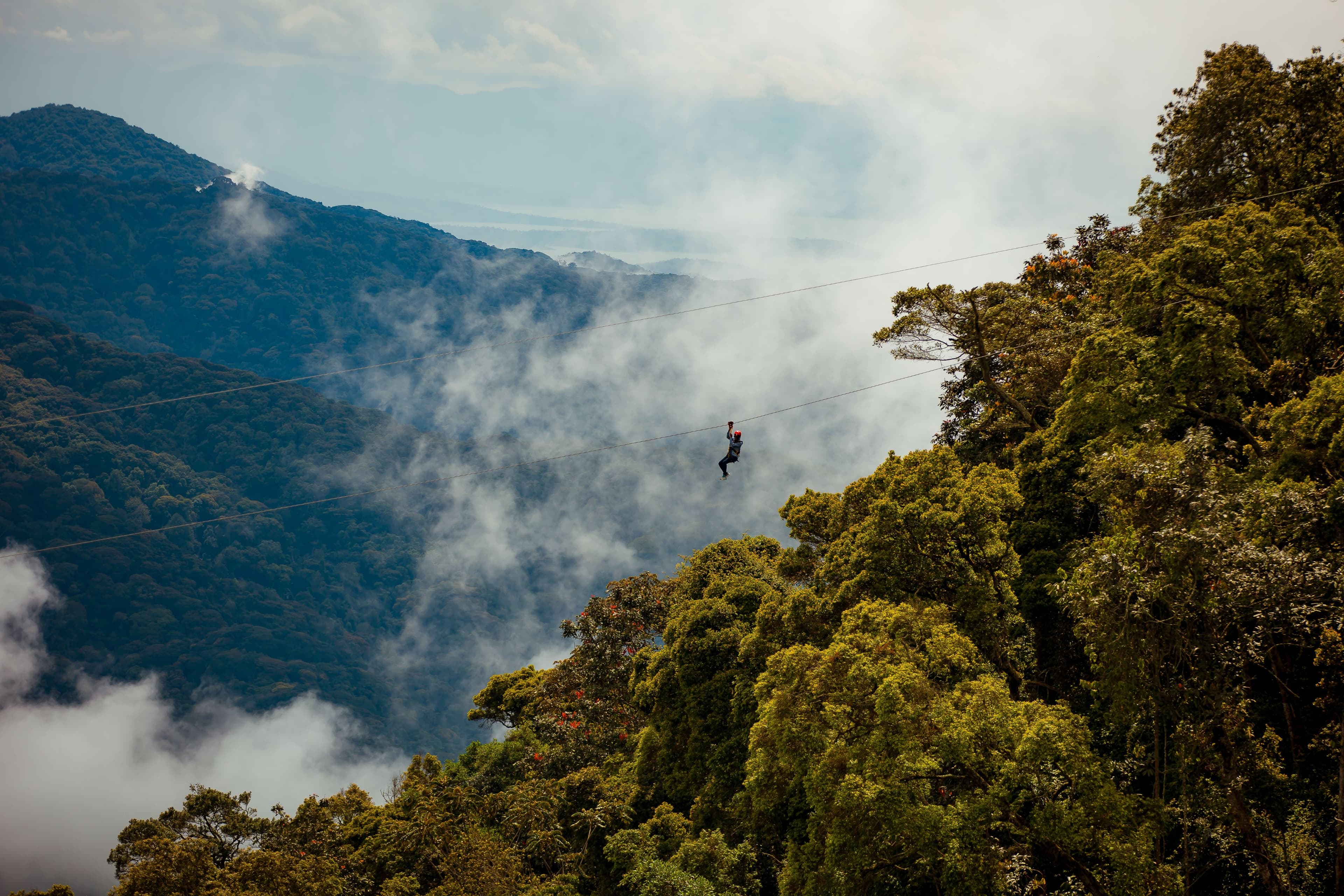 Nyungwe Forest National Park