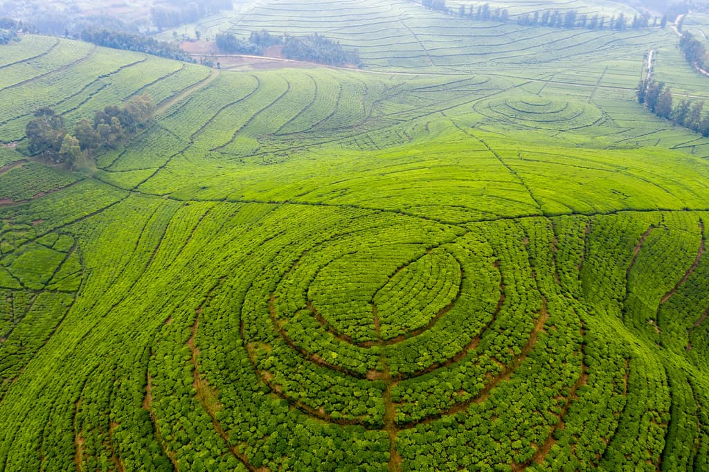  Rwanda Discovery Tour 